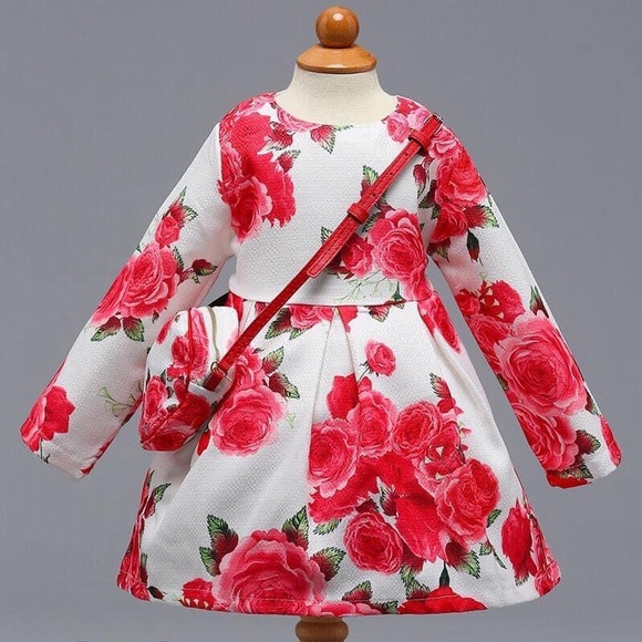 Girls long sleeve dress with purse - Picture 1 of 3